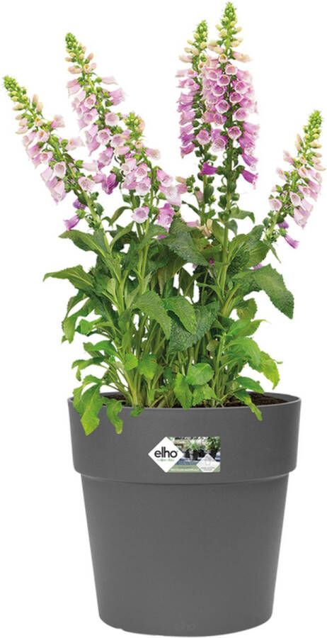 Elho Vibia Straight Rond 30 Bloempot voor Buiten 100% Gerecycled Plastic Ø 29.3 x H 28.0 cm Zwart Antraciet