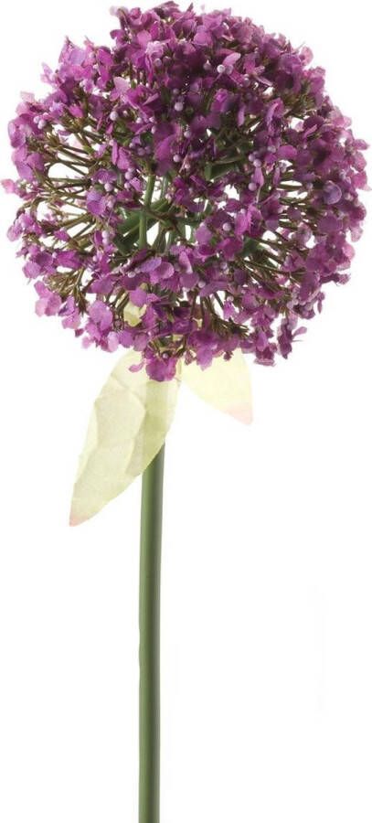 Easyplants Kunstbloem Allium 70 Cm Paars Paarse Kunstplant