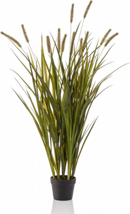 Easyplants Kunstplant Grass Cattails Groen Polyester Groen 120x0x0cm (hxbxd) Woonexpress