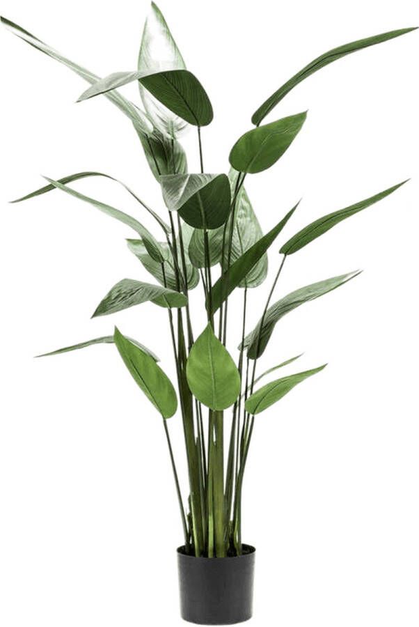 PrettyPlants Heliconia Kunstplant 220cm
