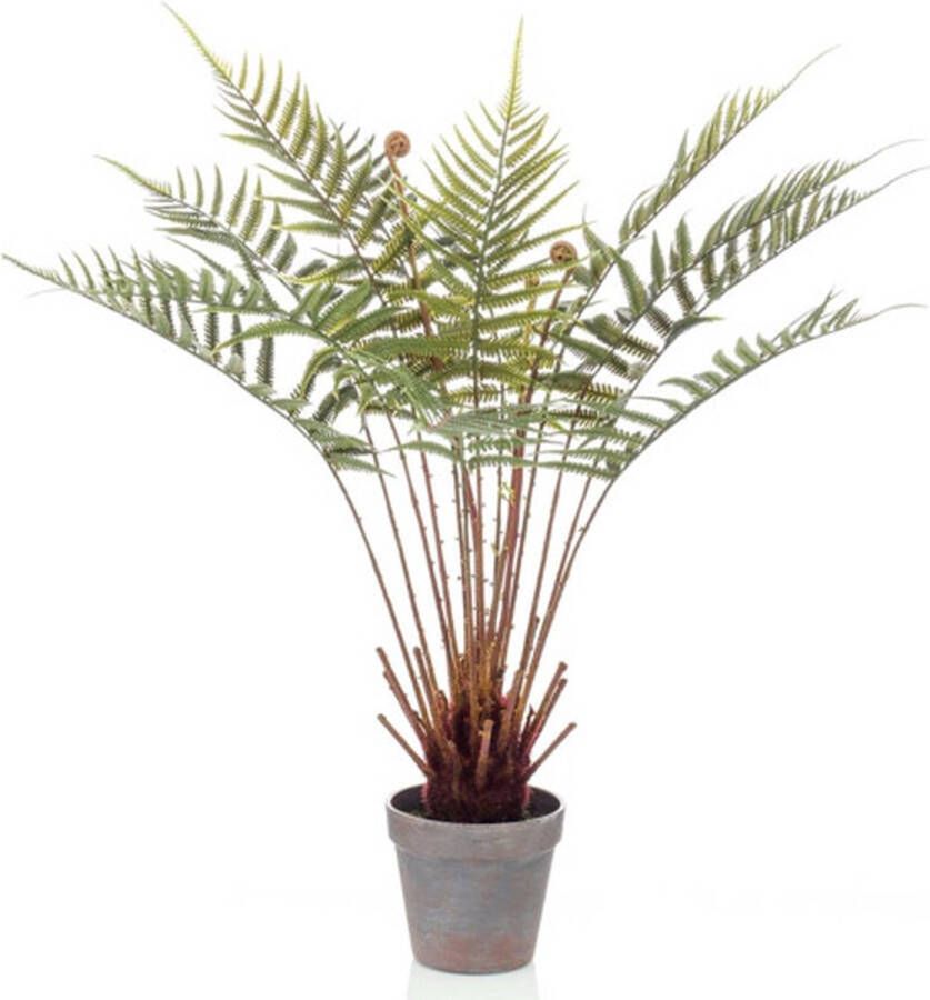 Woonexpress Kunstplant Dicksonia Groen Polyester Groen 60x0x0cm (hxbxd)