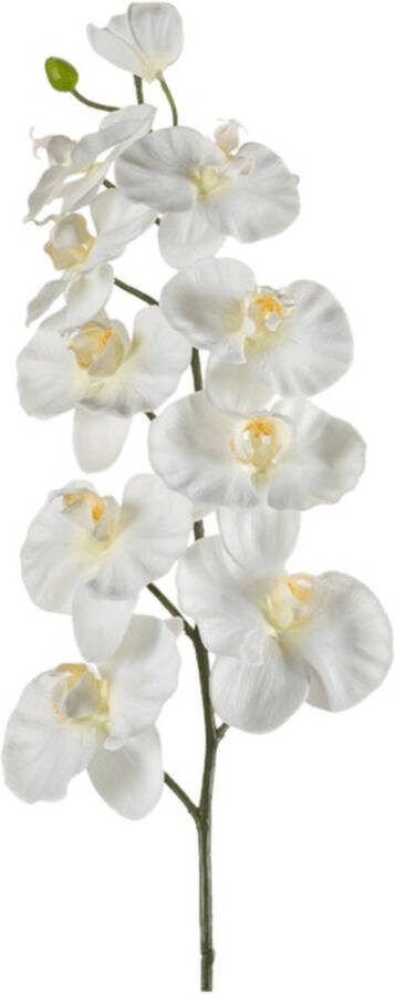 Emerald Kunstbloemen Zijden Bloemen Phalaenopsis Orchidee Tak Creme Wit x9 100 cm 416675