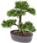 Merkloos Bonsai boompje Cedrus Atlantica Glauca kunstplant in kunststof pot 32 cm Kunstplanten - Thumbnail 1