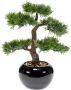 Plantenwinkel.nl Plantenwinkel Kunstplant Bonsai cedar M in pot - Thumbnail 1