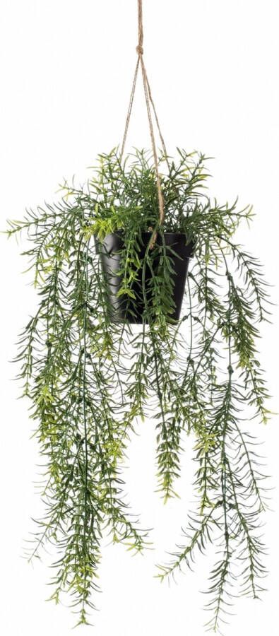 Woonexpress Hangplant Asparagus Groen Polyester Groen 50x0x0cm (hxbxd)