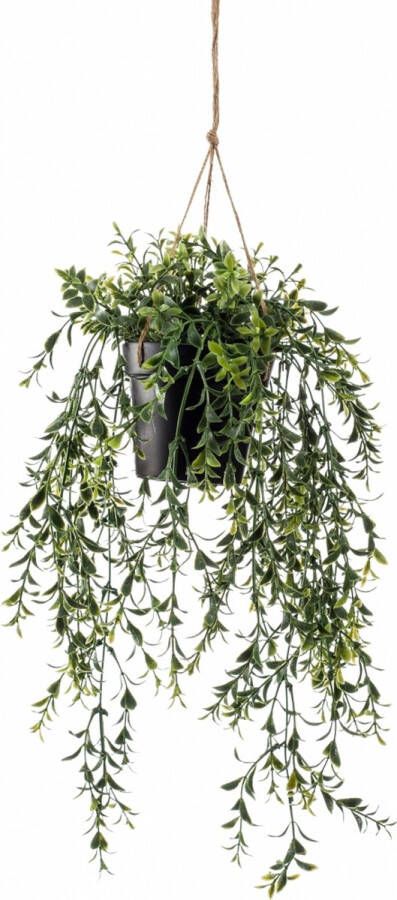 Emerald Kunstplant hangend in pot buxus 50 cm