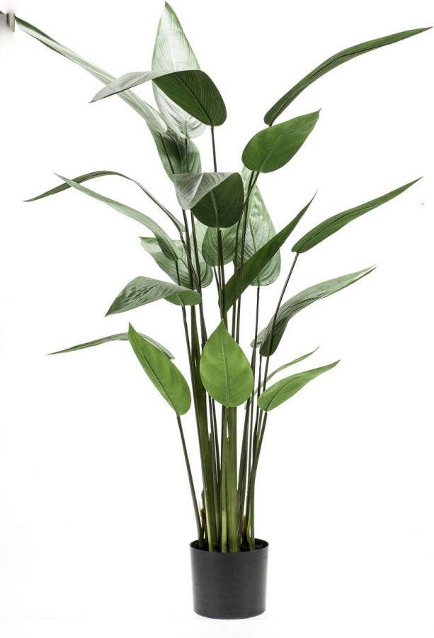 Emerald Kunstplant heliconia plant groen 125 cm 419837