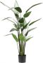 Emerald Kunstplant heliconia plant groen 125 cm 419837 - Thumbnail 1