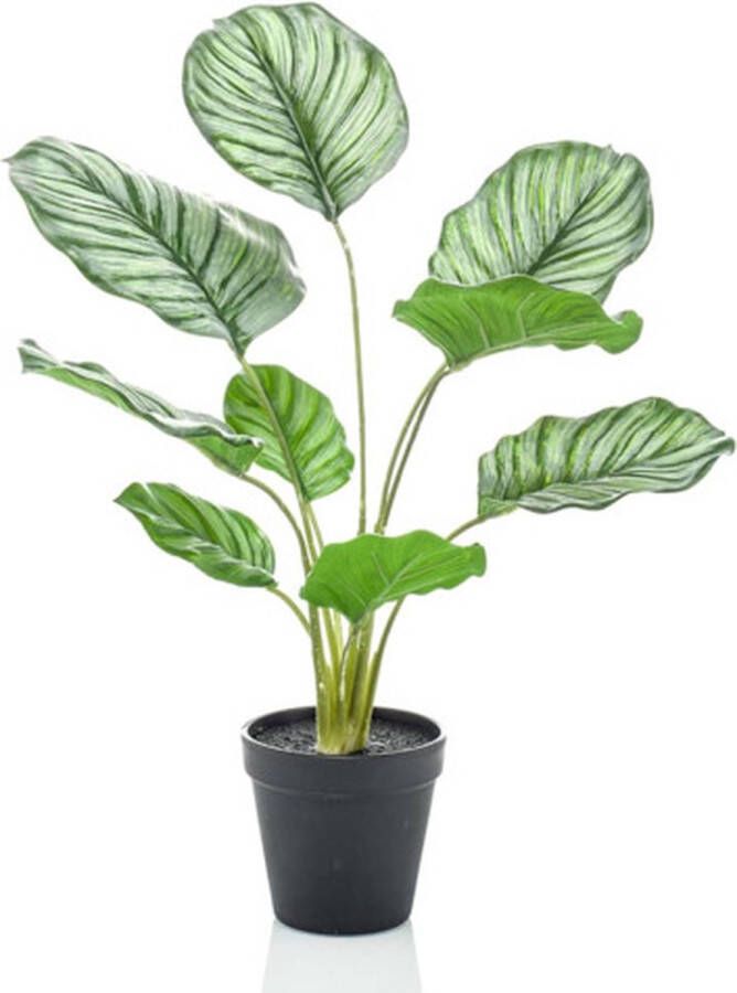 Emerald -Kunstplant-in-pot-calathea-orbifolia-45-cm