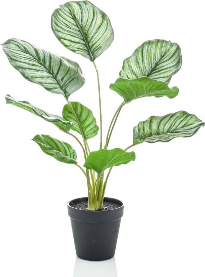 Emerald -Kunstplant-in-pot-calathea-orbifolia-45-cm