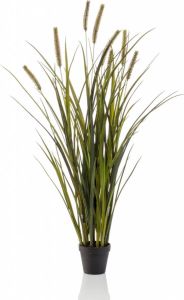 Woonexpress Kunstplant Grass Cattails Groen Polyester Groen 100x0x0cm (hxbxd)