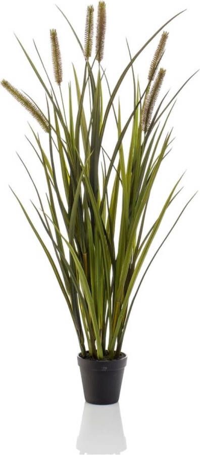 Emerald -Kunstplant-in-pot-kattenstaartgras-85-cm