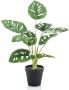 Emerald -Kunstplant-in-pot-Monkey-monstera-struik-43-cm - Thumbnail 1