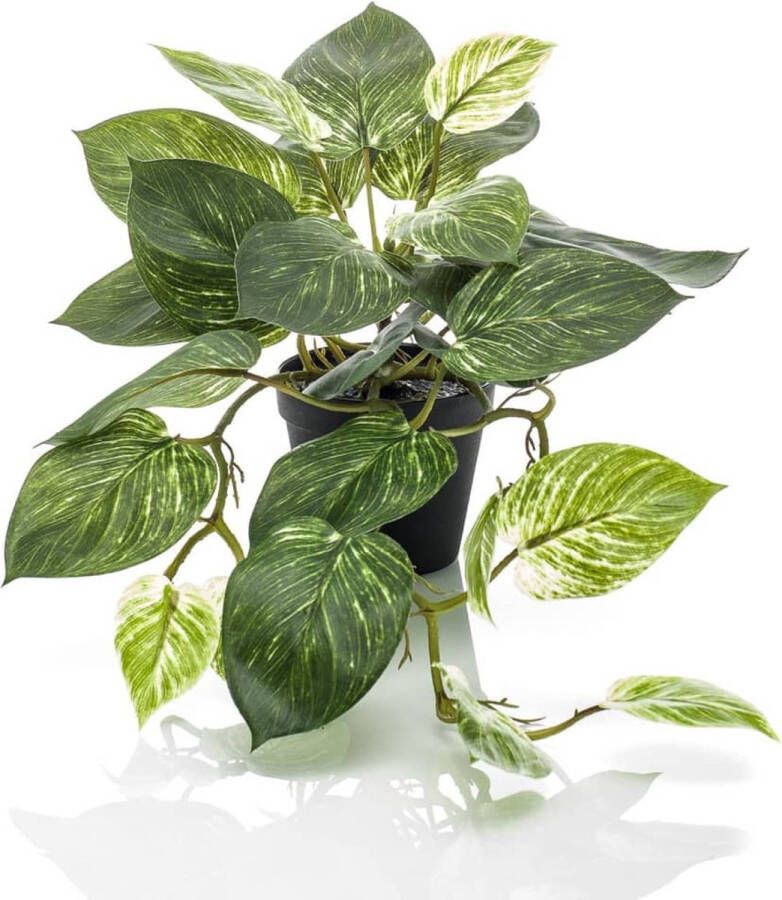 Easyplants Kunstplant Scindapsus 55 cm in pot groen