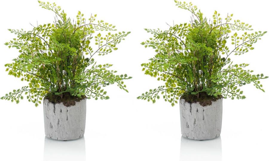 Emerald Set van 2x stuks groene kunstplanten varen 30 cm in pot Mooie decoratie kunstplanten voor binnen