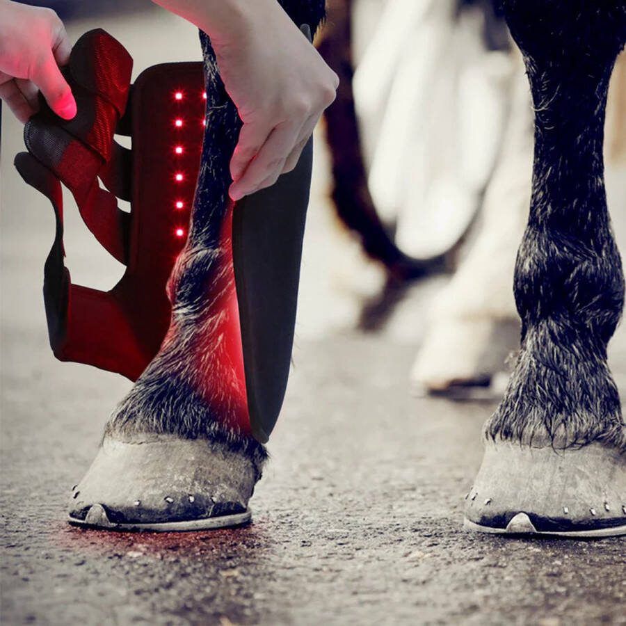 Equiled Rode licht Therapie Boots Voor Paarden RED LIGHT THERAPY Peesblessures Paard Pijnverlichting Ongemakken Paard Verbeterde Bloedcirculatie 1 stuks