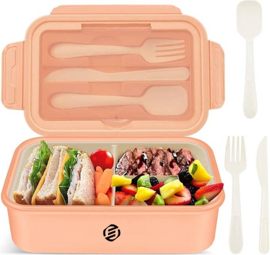 Equivera Lunchbox Lunch Trommel Broodtrommel Saladebox- Zakelijk Reizen School Back To School Voor Kinderen Voor Volwassenen