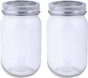 Esschert Design 2x stuks glazen bloemenvaasjes jars met schikdeksel 13 cm Bloempotjes voor binnen Kruidenpotjes