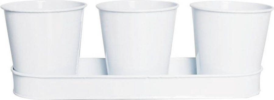 Esschert Design Bloempotjes set op tray wit