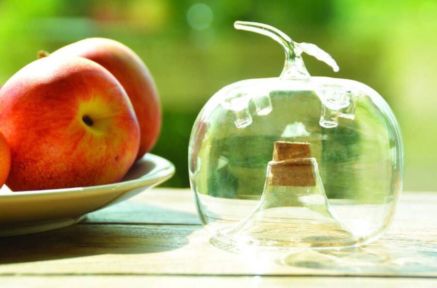 Esschert Design Fruitvliegenval Appel | | Ø10cm glas | 9 5 X 9 4 CM Glas | Transpirant