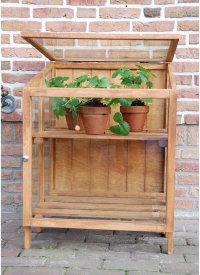 Esschert Design FSC hardhouten kweekkas smal