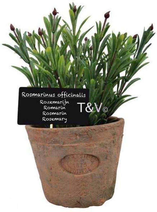 Esschert Design Kunstplant Rosemarijn in pot AH012