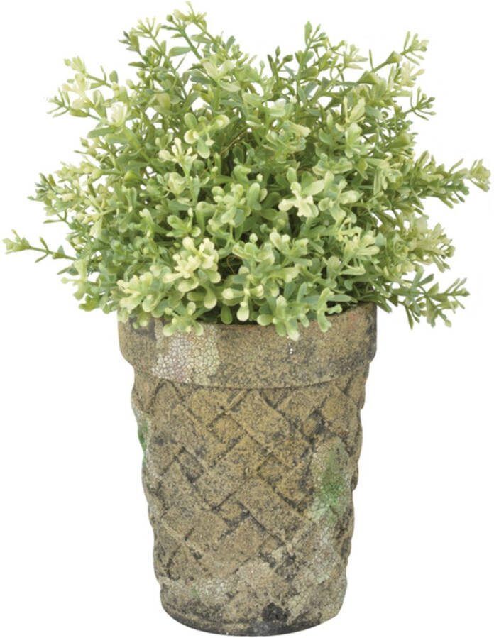 Esschert Design long tom bloempot met verkeerde korstmos look 12 x 16 cm