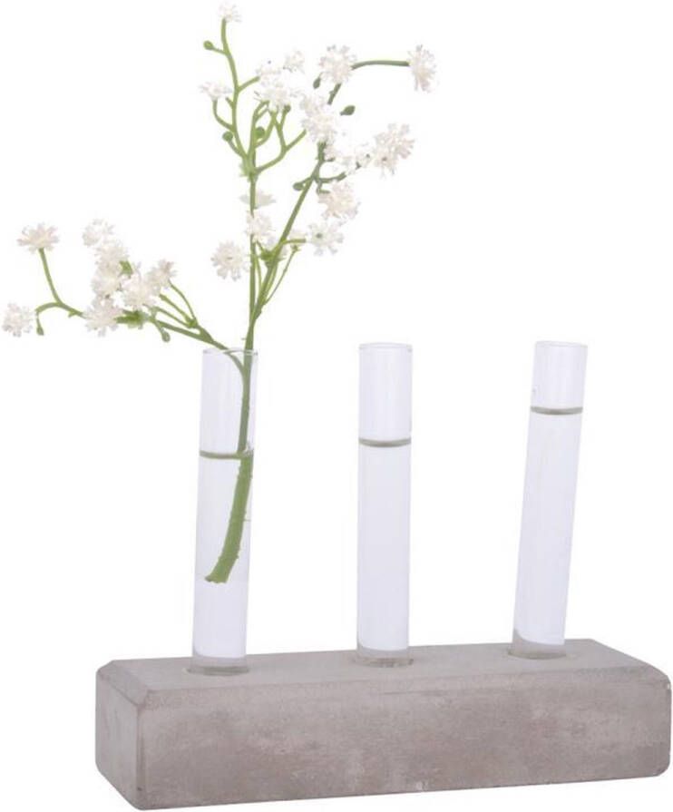 Esschert Design Plantenhouder Beton voor 3 stekjes 12 x 5 x 12 cm