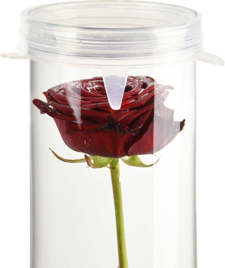Esschert Design Silicone Afdekdop voor verzonken bloemen vazen