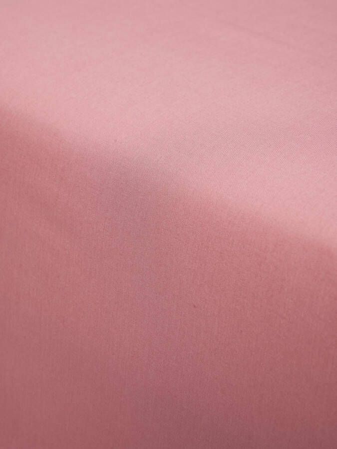 Essenza hoeslaken 1 pers 200 Minte dusty rose