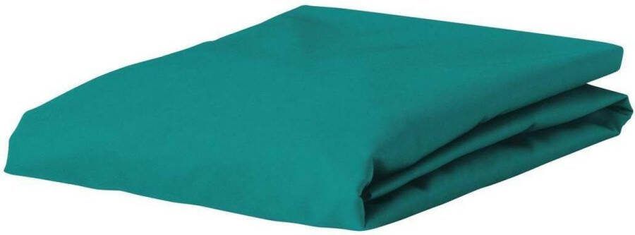 Essenza Premium Jersey Hoeslaken Strong Mint 18202022