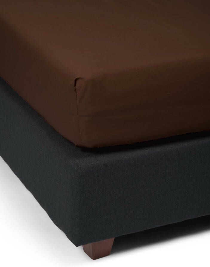 Essenza Premium Percale Hoeslaken Chocolate 90x210