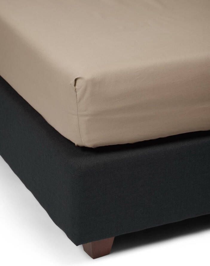 Essenza Premium Percale Hoeslaken Klei 100x200 cm