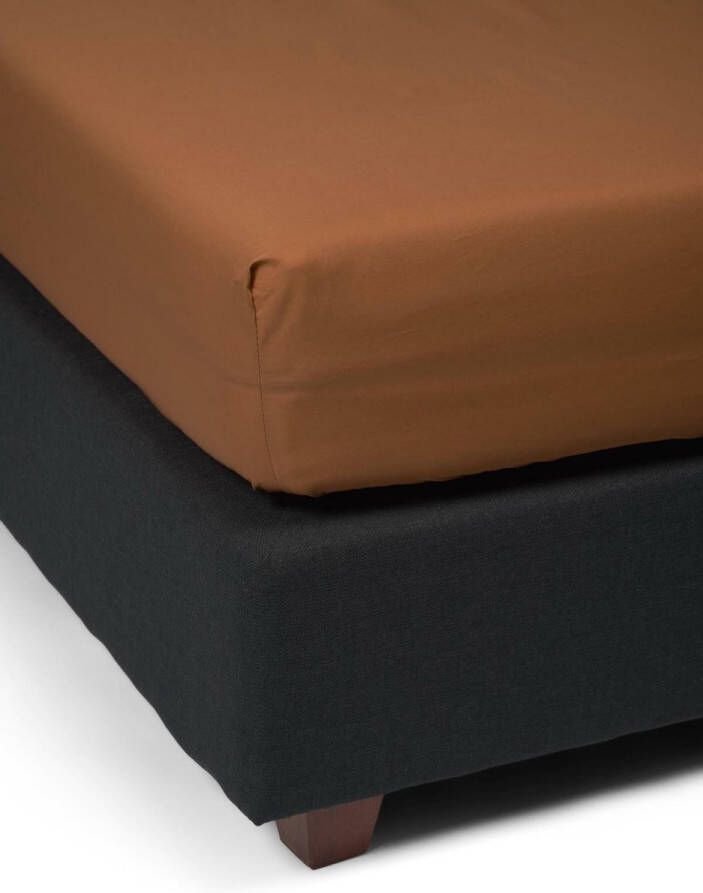 Essenza Premium Percale Hoeslaken Leather Brown 100x200 cm