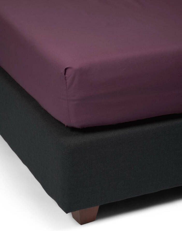 Essenza Premium Percale Hoeslaken Marsala 90x200 cm