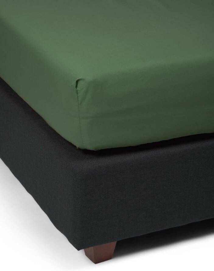 Essenza Premium Percale Hoeslaken Mosgroen 140x200 cm