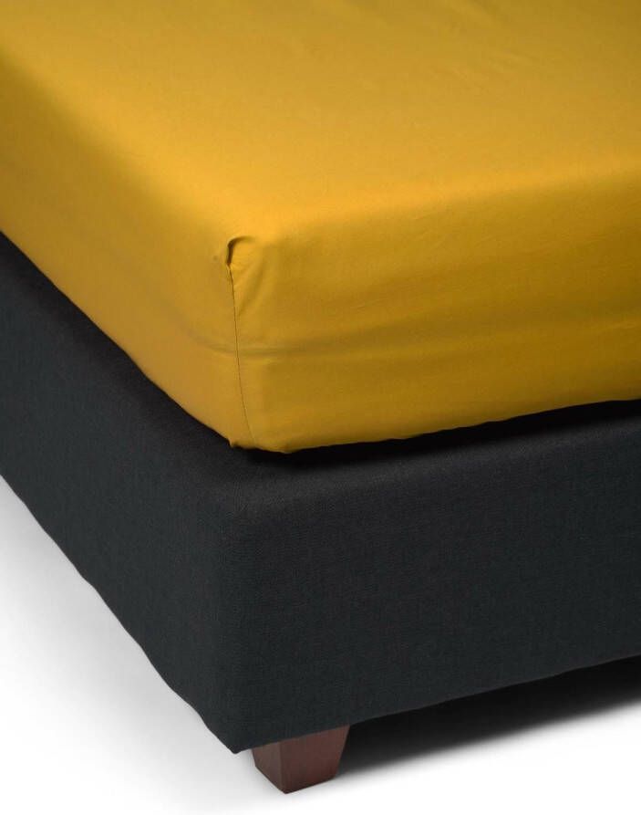 Essenza Premium Percale Hoeslaken Mosterdgeel 180x200