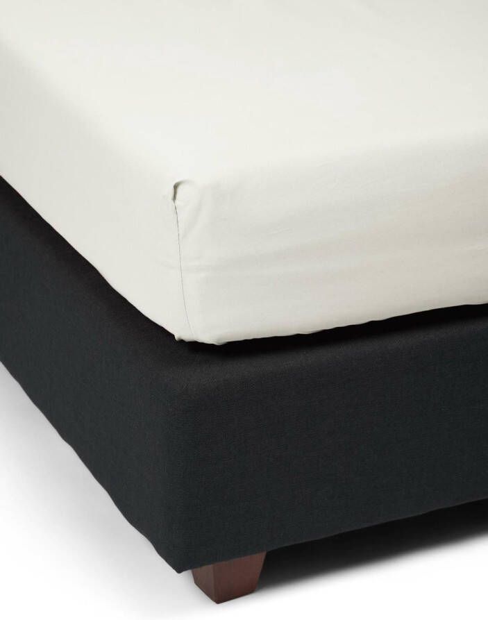 Essenza Premium Percale Hoeslaken Oyster 100x200 cm