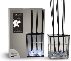 Esteban Classic Neroli Geurstokjes Triptyque Large 500ml