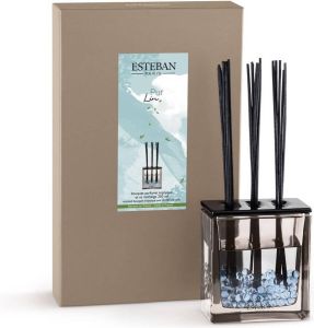 Esteban Classic Pur Lin Geurstokjes Triptyque 250 ml