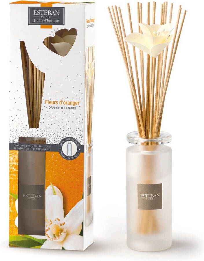 Esteban Fleurs d'Oranger Geurstokjes Soliflore Citrus-fruitig parfum 75ml