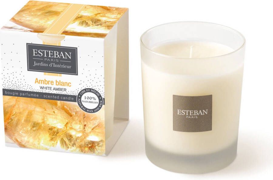 Esteban geurkaars Ambre Blanc Citrus-fruitachtig parfum 170 gr