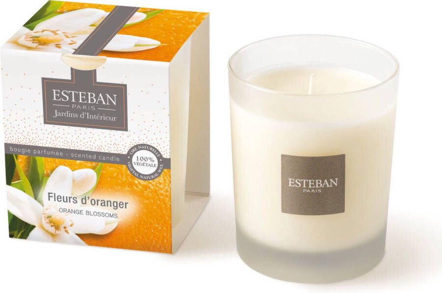 Esteban geurkaars Fleurs d'Oranger Citrus-fruitachtig parfum 170 gr