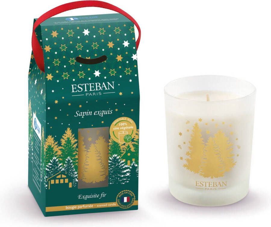 Esteban geurkaars exquisite fir houtachtig & amberachtig 180 gr