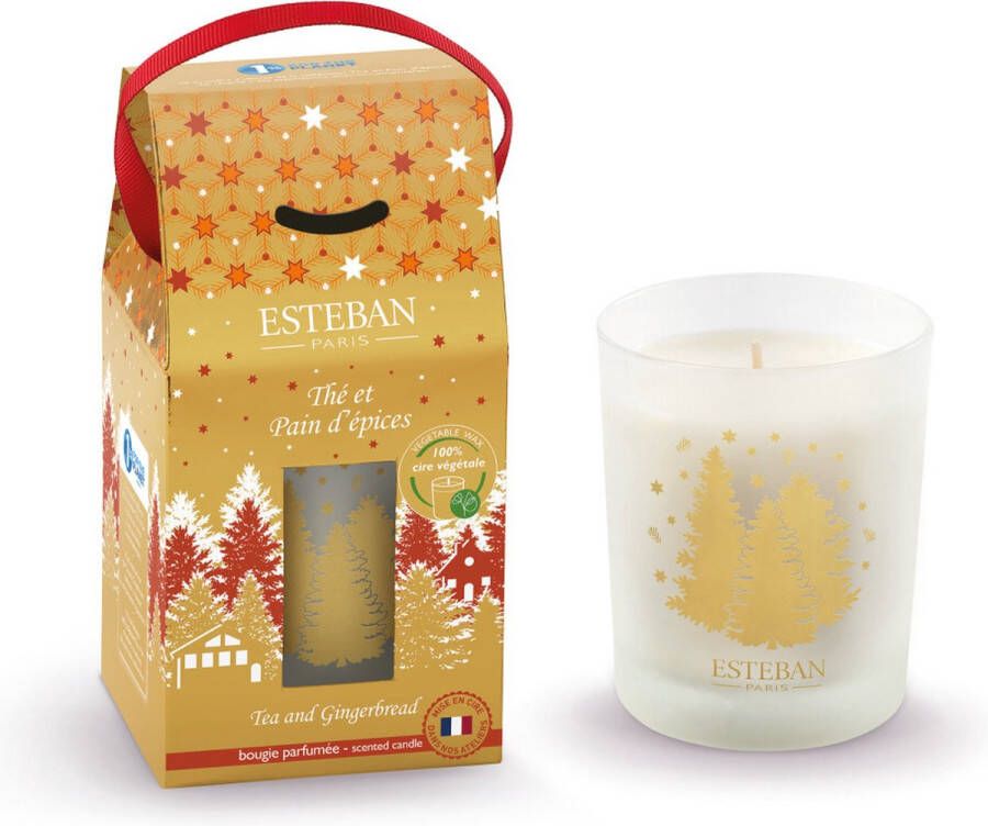 Esteban geurkaars Tea and Gingerbread gastronomisch kruidig parfum 180 gr