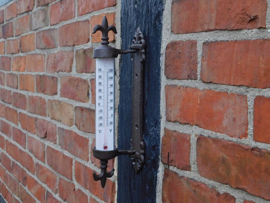 ETW Thermometer met Franse lelie gietijzer kozijnthermometer weerbestendig
