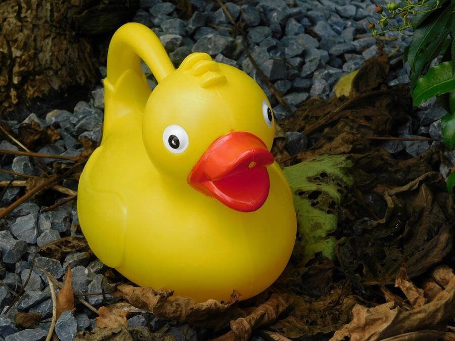 ETW Tuingieter de eend kindergieter bloemengieter kan voor zandbak zwart