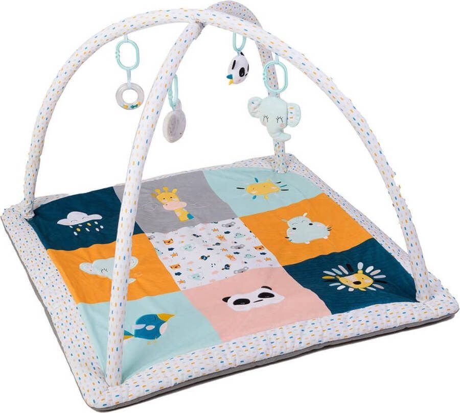 Eurekakids Babygym met Extra Dik Speelkleed (3 cm) Babykleed met Verschillende Texturen Met Boog