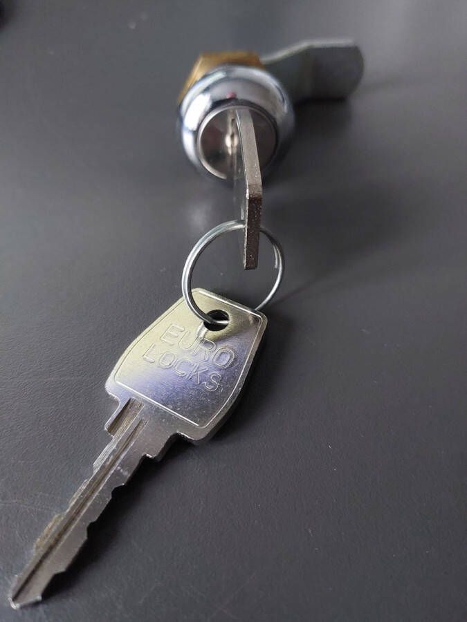 Euro-locks Oostwoud slot brievenbus lockerslot met ronde kop moer en slotplaat