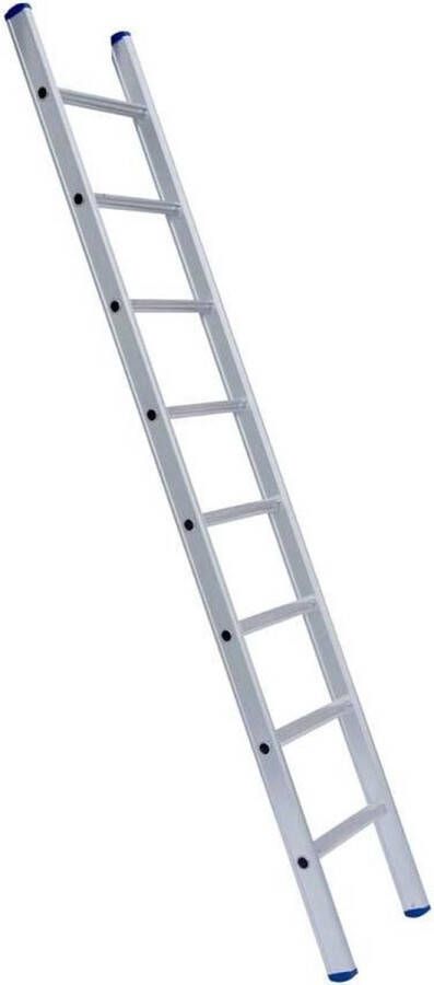 Eurostairs Ladder enkel recht 1x6 sporten